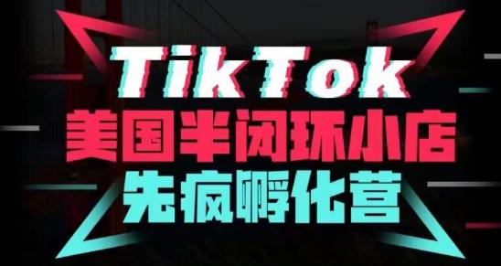 疯人院·TikTok美国半闭环小店孵化营，抢占TikTok美国蓝海市场，开店、运营、带货、投流全实操-牛课资源网